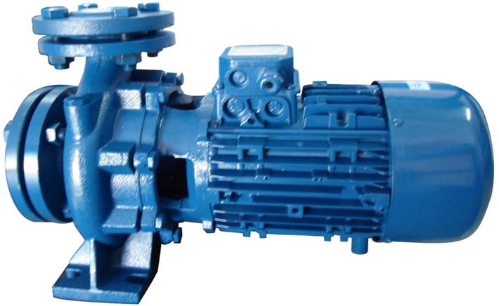 Bơm đầu gang công nghiệp CM32-160B motor Italy Mepcato