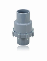 Swing Check Valve CT-61 Chiutong DN65 Φ76